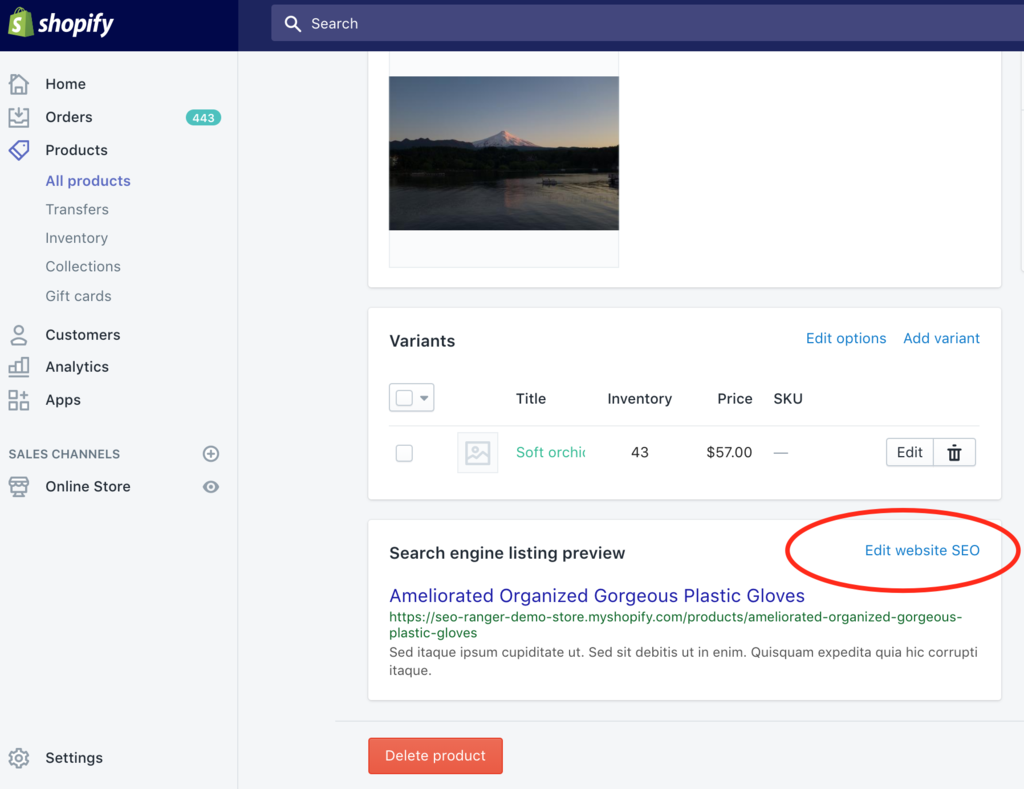 Editing Shopify Product Page Metadata, Edit Website SEO