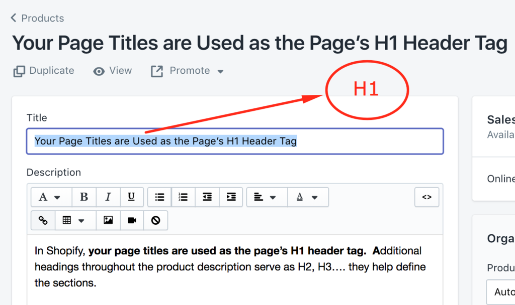 Fix Shopify headings using the rich text editor page headings become h1